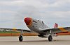 Red Tail P-51 DSC_6609.jpg